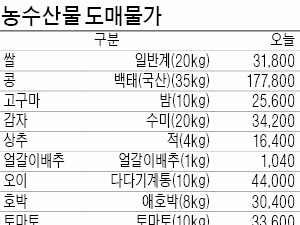  설 앞두고 계란 가격 진정세