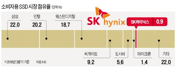 SK하이닉스, SSD시장 '0.9%의 진격'