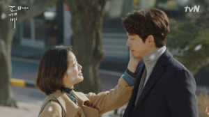 &#39;도깨비&#39; 마지막, tvN 역대 최고 시청률… 20% 돌파