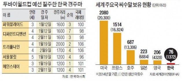 '경마 월드컵' 예선 폭풍질주…다크호스'로 뜨는 한국의 경주마들