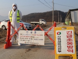 구제역 인체 감염 위험성은…보건당국 "안심해도 좋아"