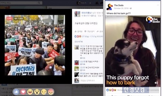 페이스북 라이브 영상들. 지난해 11월5일 서울 광화문광장 촛불집회를 생중계한 영상(왼쪽)과 모바일 앱에서 개인이 라이브 방송을 하는 모습. / 사진=한경DB·페이스북 공식 블로그