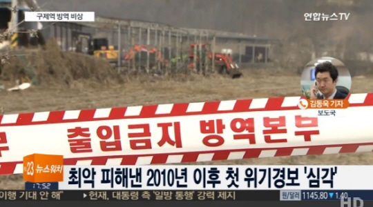 구제역 위기경보 경계→심각…최고단계로 격상