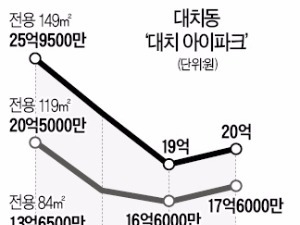 강남 아파트, 작은 집만 '왕년의 집값' 뛰어넘었다