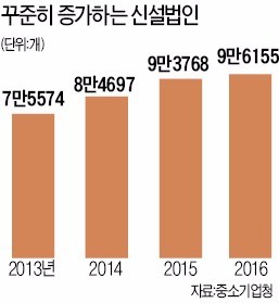 작년 신설법인 9만6000개로 '사상 최대'