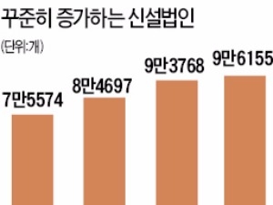 작년 신설법인 9만6000개로 '사상 최대'