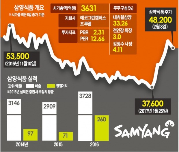 삼양식품 '불닭볶음면' 해외서도 '활활', 구조조정 전문가 영입…실적 기대 '솔솔'