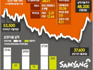 삼양식품 '불닭볶음면' 해외서도 '활활', 구조조정 전문가 영입…실적 기대 '솔솔'