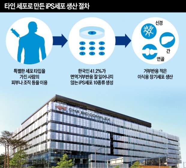 타인 줄기세포로 손상된 장기 치료 길 열렸다