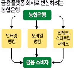 '금융플랫폼의 네이버' 꿈꾸는 농협은행