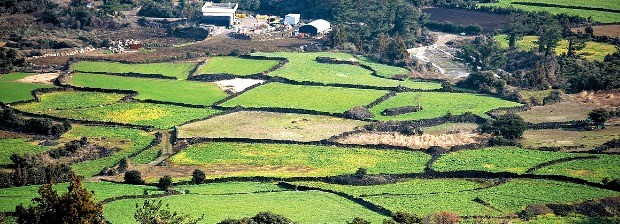 해발 145m의 말미오름에서 내려다본 풍경. 