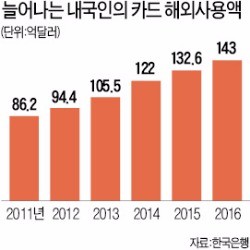 국내선 '짠돌이', 밖에선 '펑펑'…해외 카드사용 사상 최대