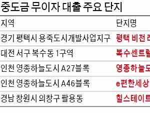 중도금 무이자 대출 '달콤한 당근' 내걸고 분양