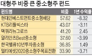 대형주 맛에 '중독된' 중소형주펀드