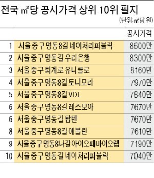 가장 비싼 곳 명동 네이처리퍼블릭