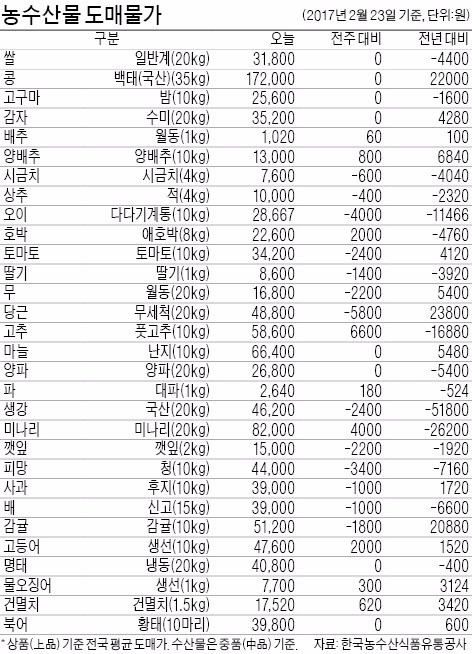 [농수산물 시세] 철 모르고 뛰는 귤값