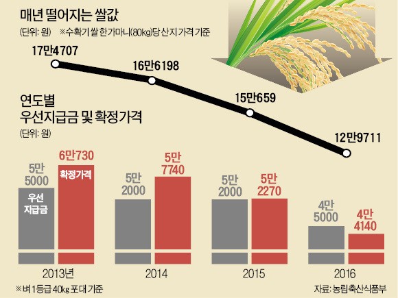 쌀값 하락에…사상 첫 '쌀 우선지급금 회수' 사태
