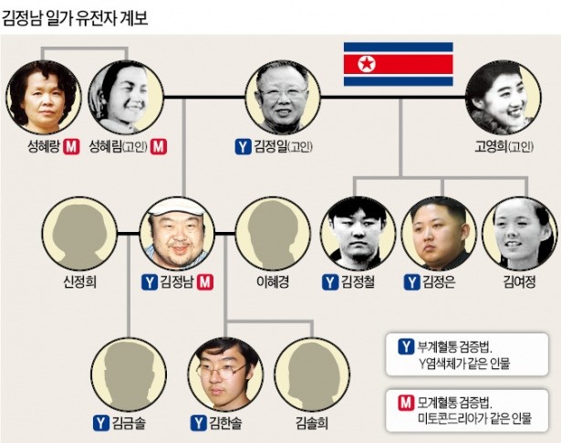 김정남 아니라고?…김한솔 머리카락 한 올이면 안다