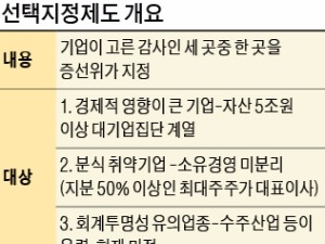 "광범위한 지정 감사, 심각한 부작용 초래할 것"