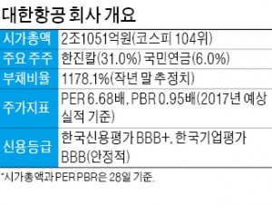 상승기류 올라 탄 대한항공