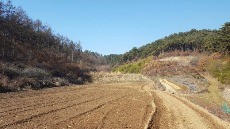 [한경매물마당] 대전 갈마동 4차선 대로변 5층 근생 상가주택 등 8건