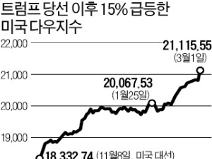 '와우! 다우'…21000도 뚫었다