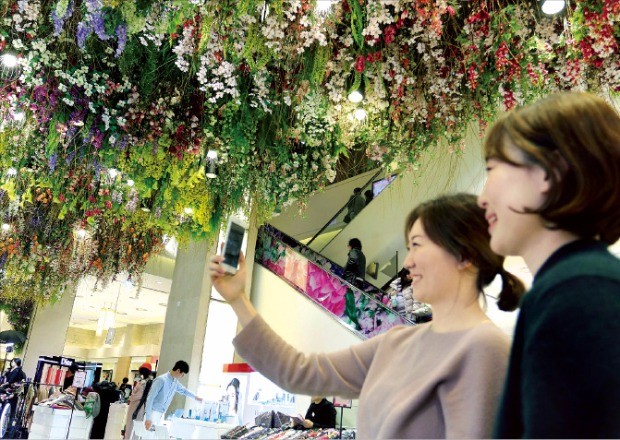 신세계백화점 본점에 설치된 봄꽃 정원. 신세계백화점 제공
 