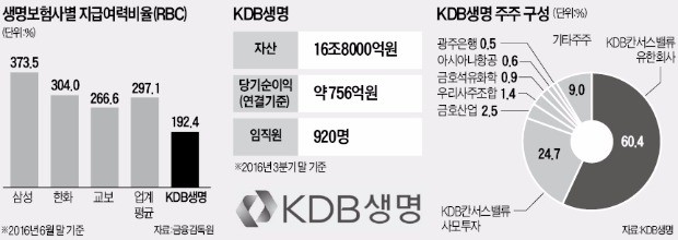 산업은행, 매각 앞둔 KDB생명 '증자 고민'