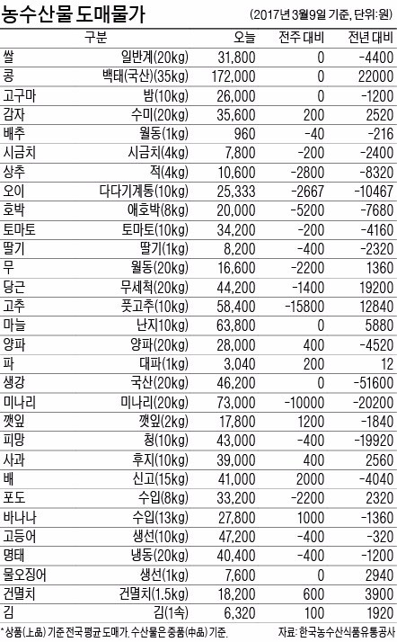 [농수산물 시세] 오징어값 1년새 60% 껑충