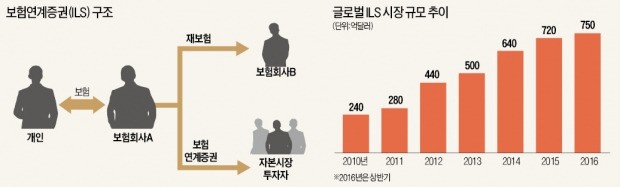 "연 8.1% 수익"…재보험 투자에 꽂힌 부자들