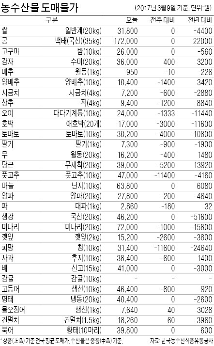 [농수산물 시세] 봄 주꾸미 싸게 먹겠네