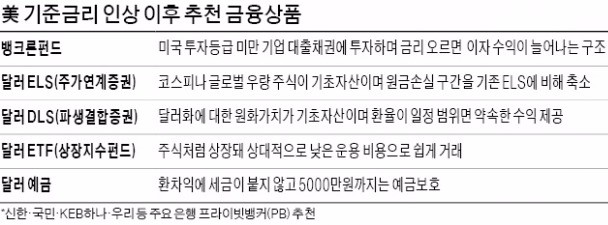 "금리 오를 땐 채권상품 줄이고 달러화자산 집중"