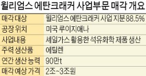 [단독] 대림산업, 2조원대 미국최대 ECC공장 인수 추진