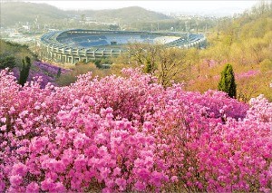 [여행의 향기] 봄 내음 가득한 곳으로 떠나자