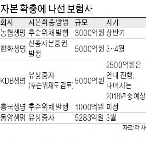 보험사들, 자본확충 '속도전'