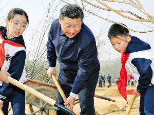 나무 심는 시진핑…기후변화 대처 과시