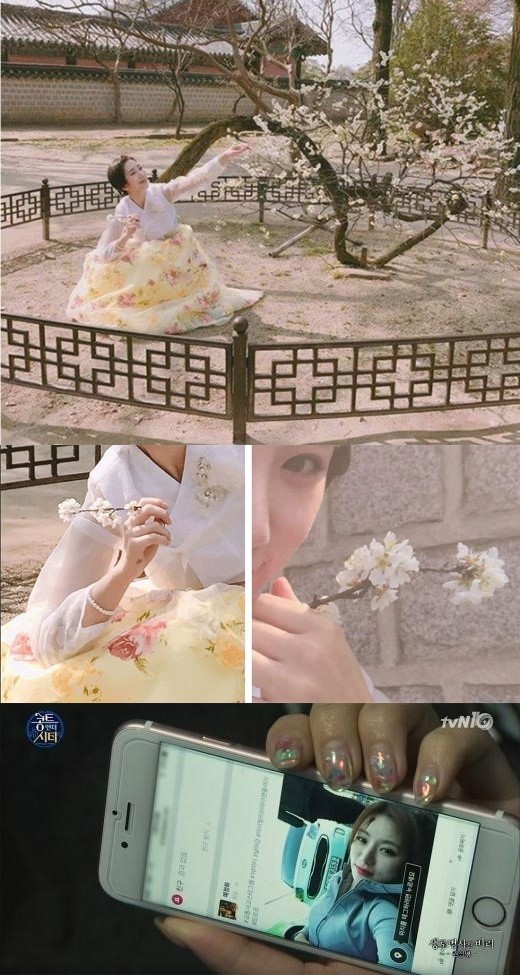 예정화 매화 논란 /사진=예정화 인스타그램 tvN 방송화면