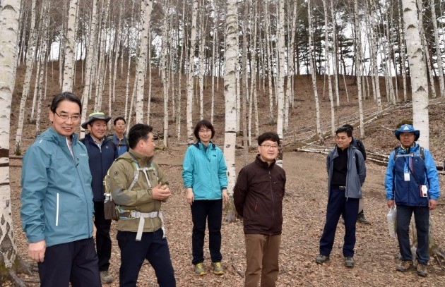 신원섭 산림청장, 강원 인제군 원대리 자작나무숲 방문