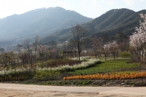 산림청, “국립백두대간 수목원에서 늦은 봄꽃놀이 하세요”