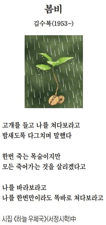 [이 아침의 시] 봄비 - 김수복(1953~)