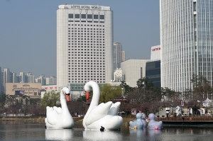  백조의 호수 된 석촌호수