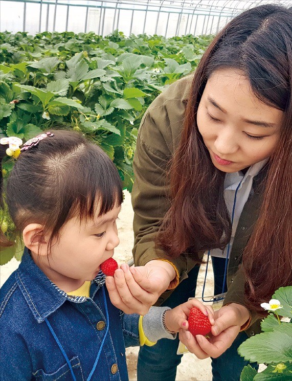 딸기 맛있어요