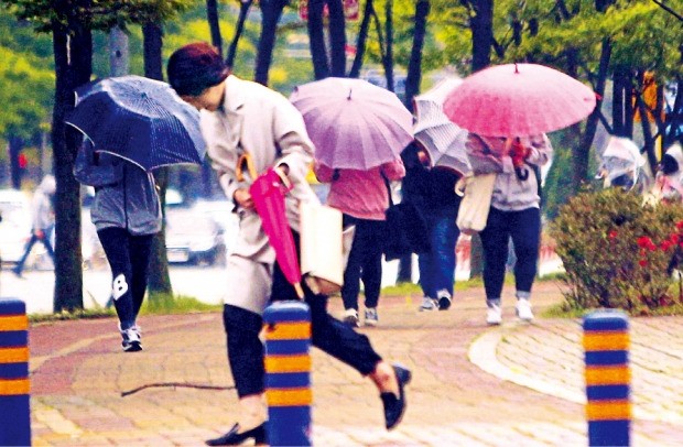 봄비 맞지 마세요…미세먼지로 오염된 비, 피부염·탈모 일으켜요