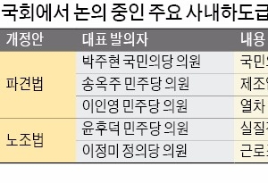  '파견금지 더 늘리자' 법안 쏟아내는 국회