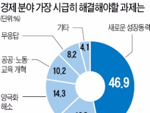 [대선 D-22] 가장 시급한 경제과제는 '새로운 성장동력 마련'