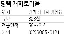 [유망 분양현장] 평택 캐피토리움, 미군 가족 4만명 배후수요…공실 걱정 무