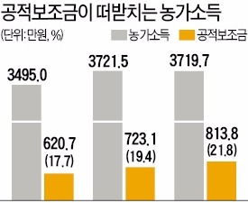 쌀값 급락에 소득 감소…보조금으로 연명하는 농가