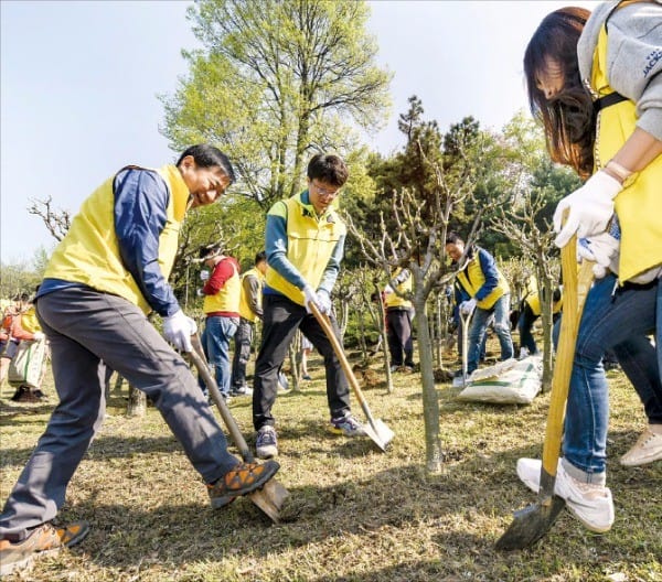 남산 정화활동에 나선 오규석 대림산업 사장(맨 왼쪽)과 직원들이 나무에 거름을 주고 있다. 대림산업 제공 