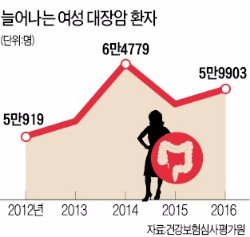 술 많이 마시는 비만 여성, 대장암 위험 높아