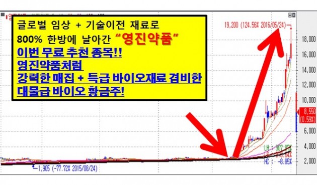 800% 날아간 영진약품 후속 바이오 종목을 주목하라!!